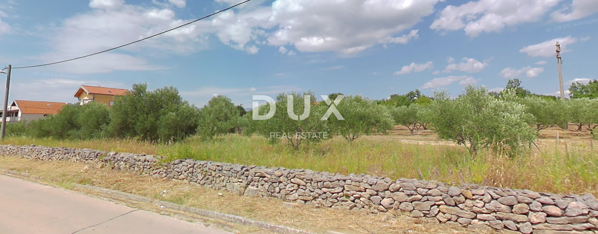 ZARA, PRIDRAGA - OCCASIONE! Uliveto in un cantiere