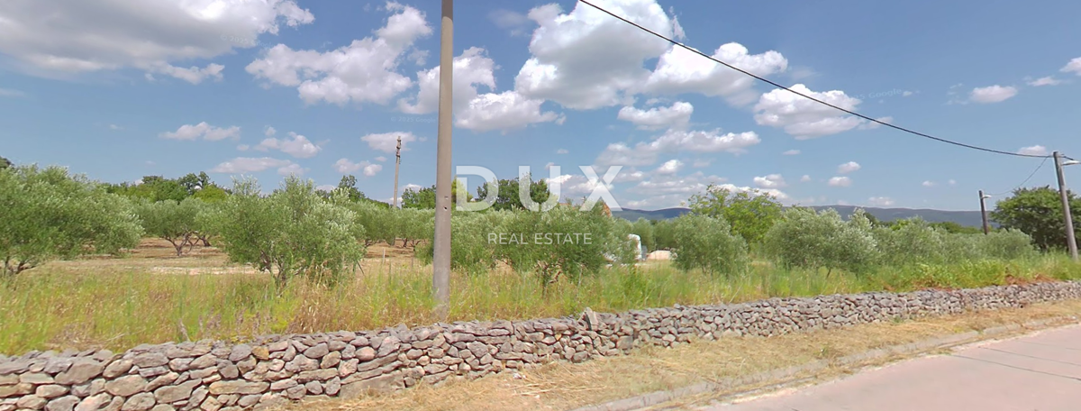 ZARA, PRIDRAGA - OCCASIONE! Uliveto in un cantiere