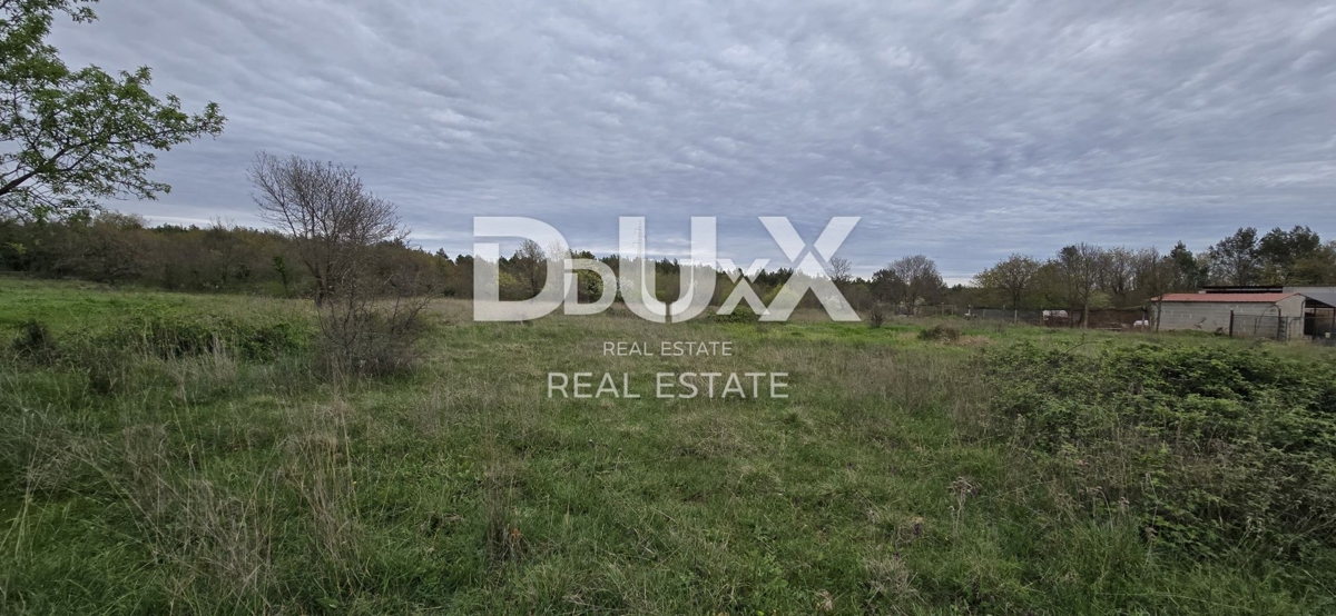 ISTRIA, SVETVINČENAT - Tre appezzamenti di terreno con permessi validi