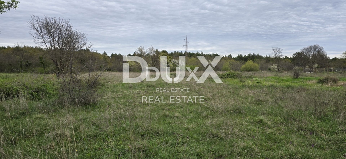 ISTRIA, SVETVINČENAT - Tre appezzamenti di terreno con permessi validi