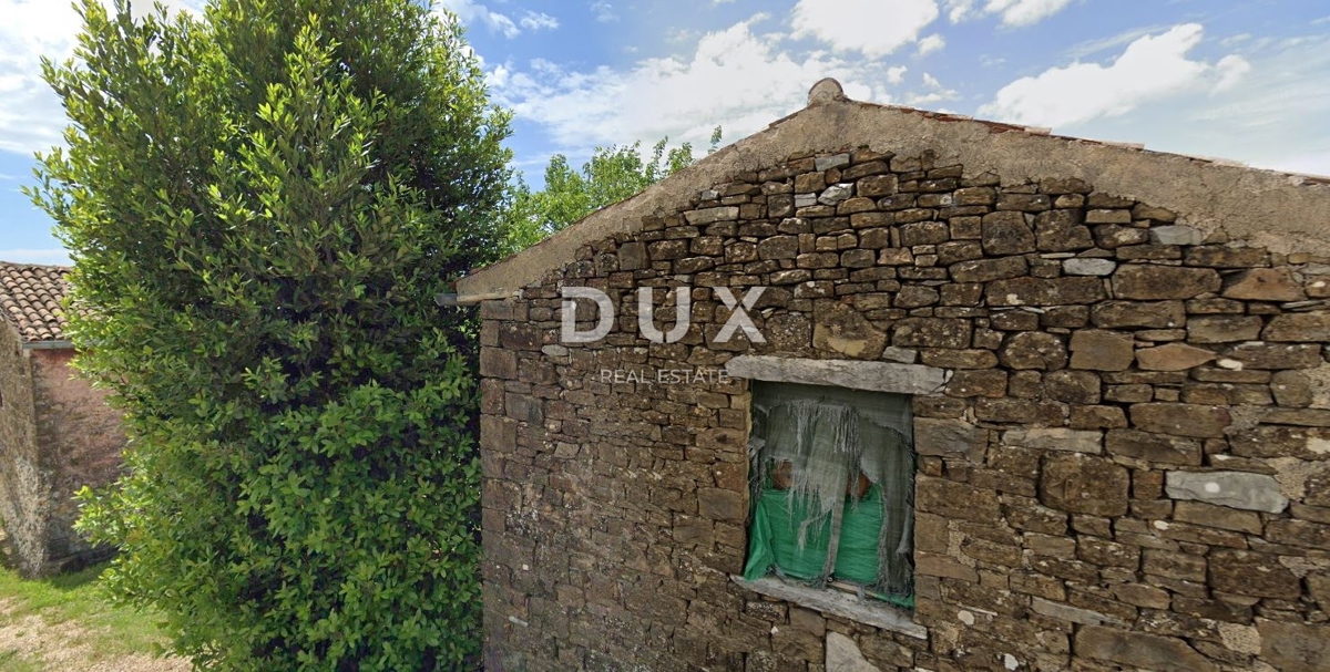 ISTRIA, MOMIANO – DUE OGGETTI IN PIETRA CON UN PROGETTO