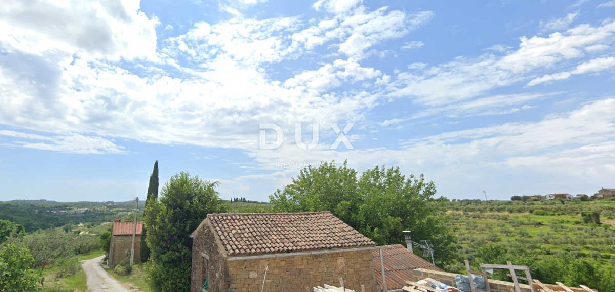 ISTRIA, MOMIANO – DUE OGGETTI IN PIETRA CON UN PROGETTO