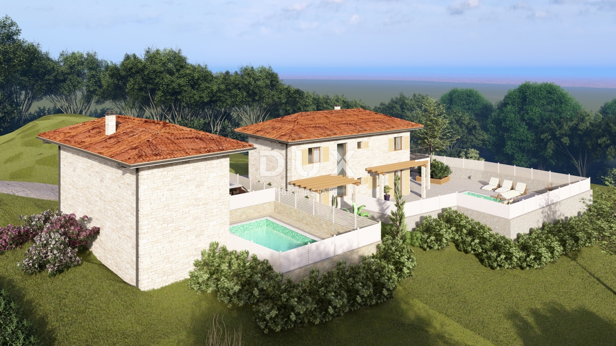 ISTRIA, MOMIANO – DUE OGGETTI IN PIETRA CON UN PROGETTO