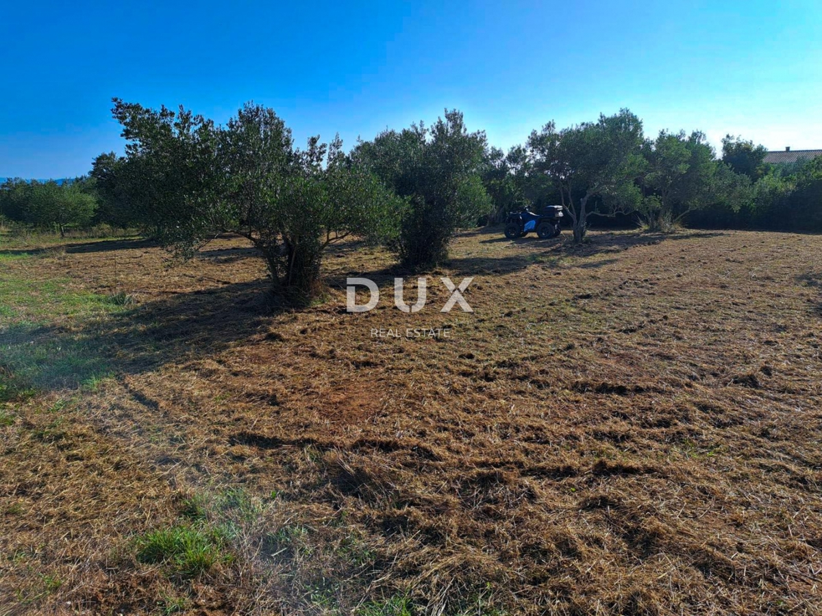 ISOLA DI PAŠMAN, KRAJ - Terreno edificabile a 200 m dal mare