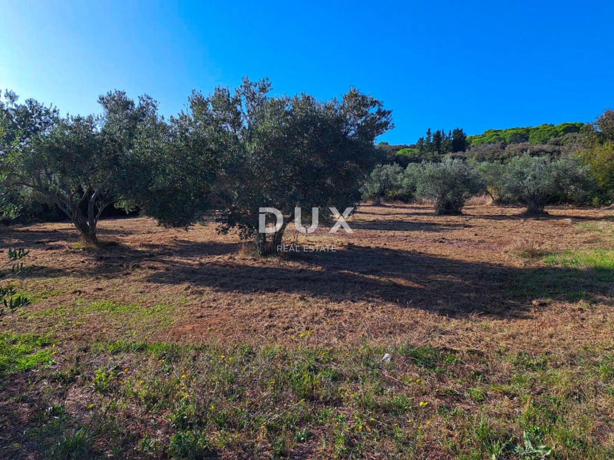 ISOLA DI PAŠMAN, KRAJ - Terreno edificabile a 200 m dal mare