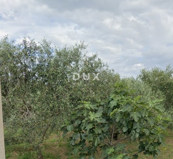 Terreno Brzac, Krk, 517m2