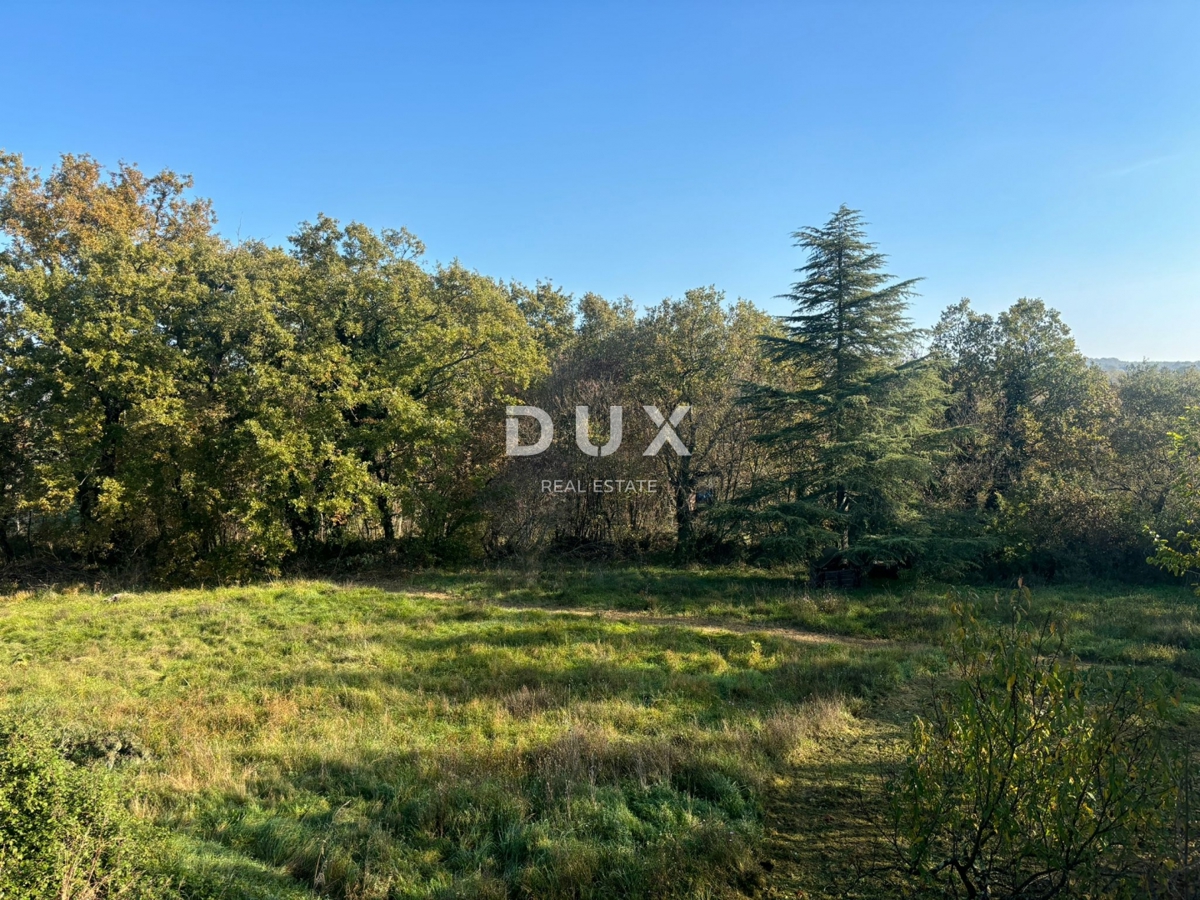 ISTRIA, PARENZO (DINANDINI) - Spaziosa casa con due grandi appartamenti e garage + terreno edificabile di 1687 m2! VARIE POSSIBILITÀ!