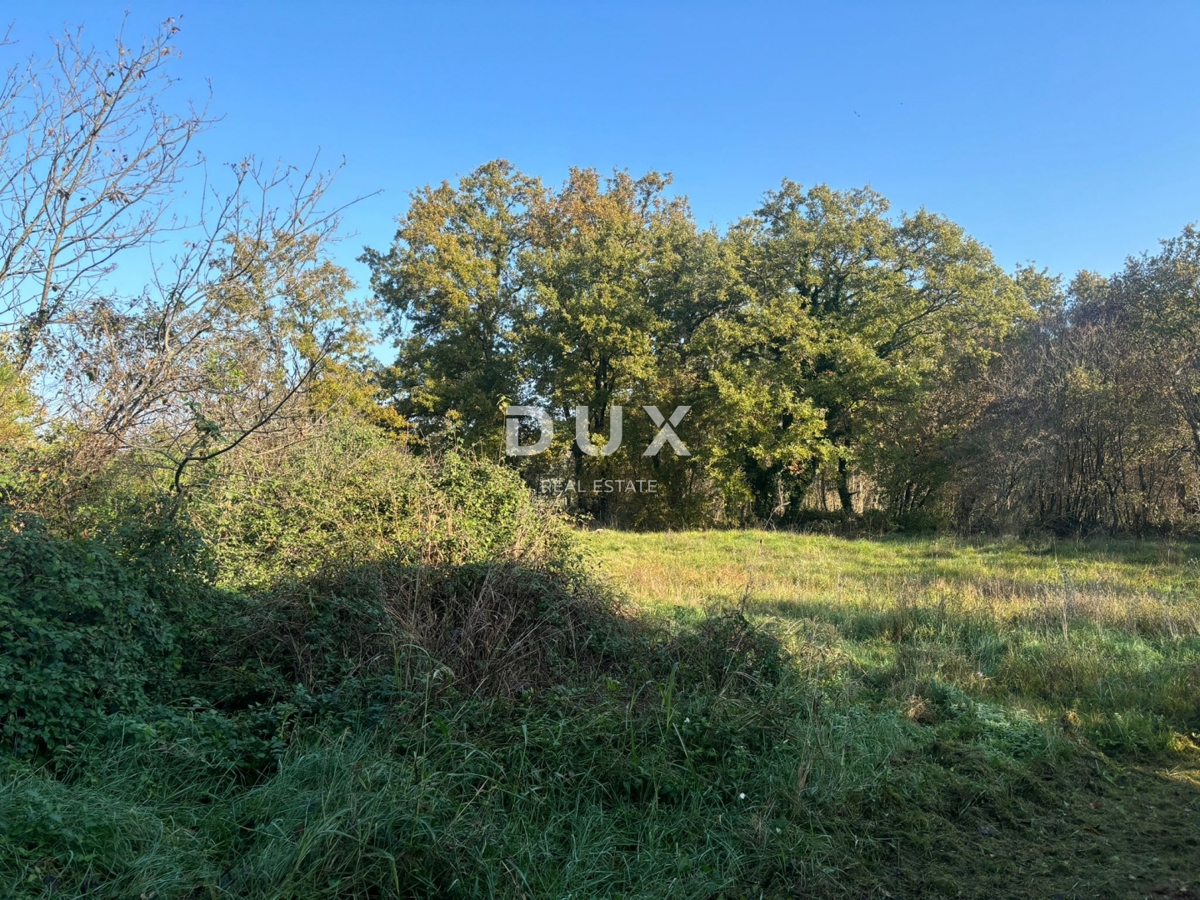 ISTRIA, PARENZO (DINANDINI) - Spaziosa casa con due grandi appartamenti e garage + terreno edificabile di 1687 m2! VARIE POSSIBILITÀ!