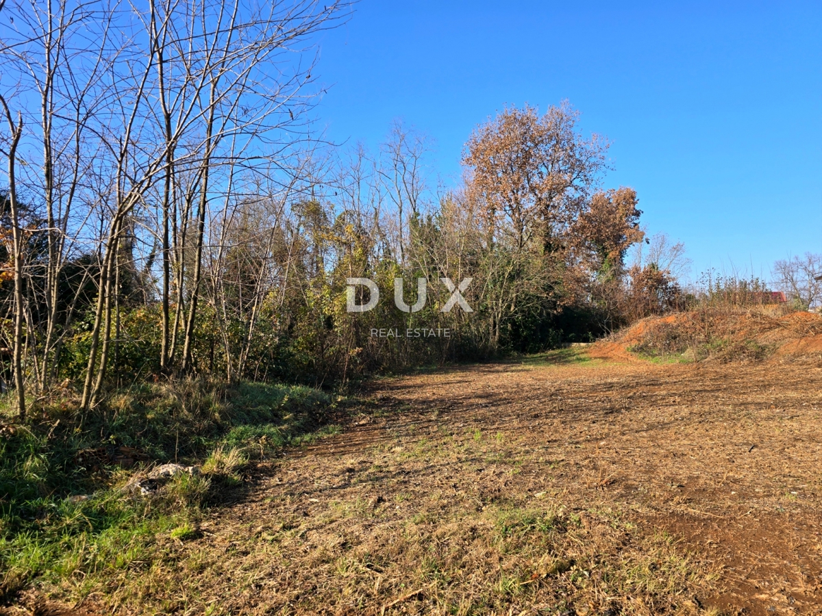 ISTRIA, ALBONA - Ampio terreno con permesso di costruire