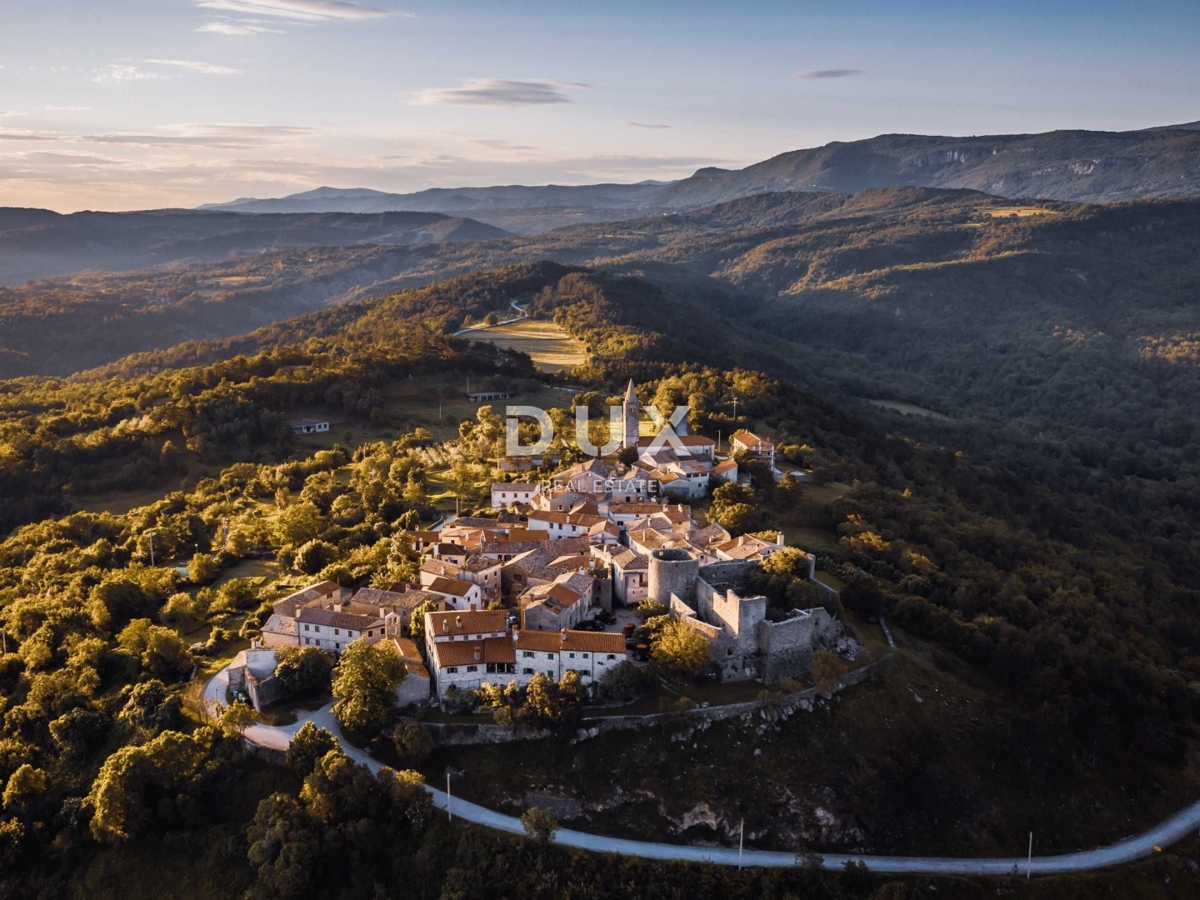 ISTRIA, LUPOGLAV - terreno agricolo di 100.000 m2 per lo sviluppo di vari progetti, ottima opportunità di investimento