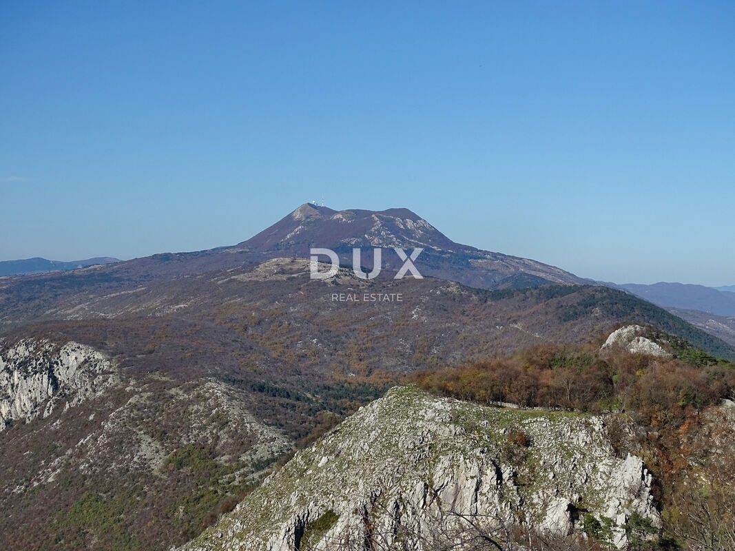 ISTRIA, LUPOGLAV - terreno agricolo di 100.000 m2 per lo sviluppo di vari progetti, ottima opportunità di investimento