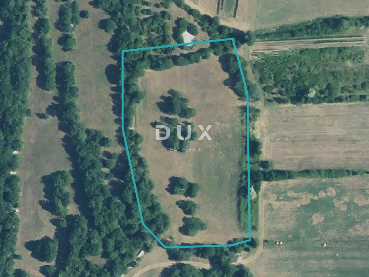 ISTRIA, ALBONA - Terreno agricolo curato