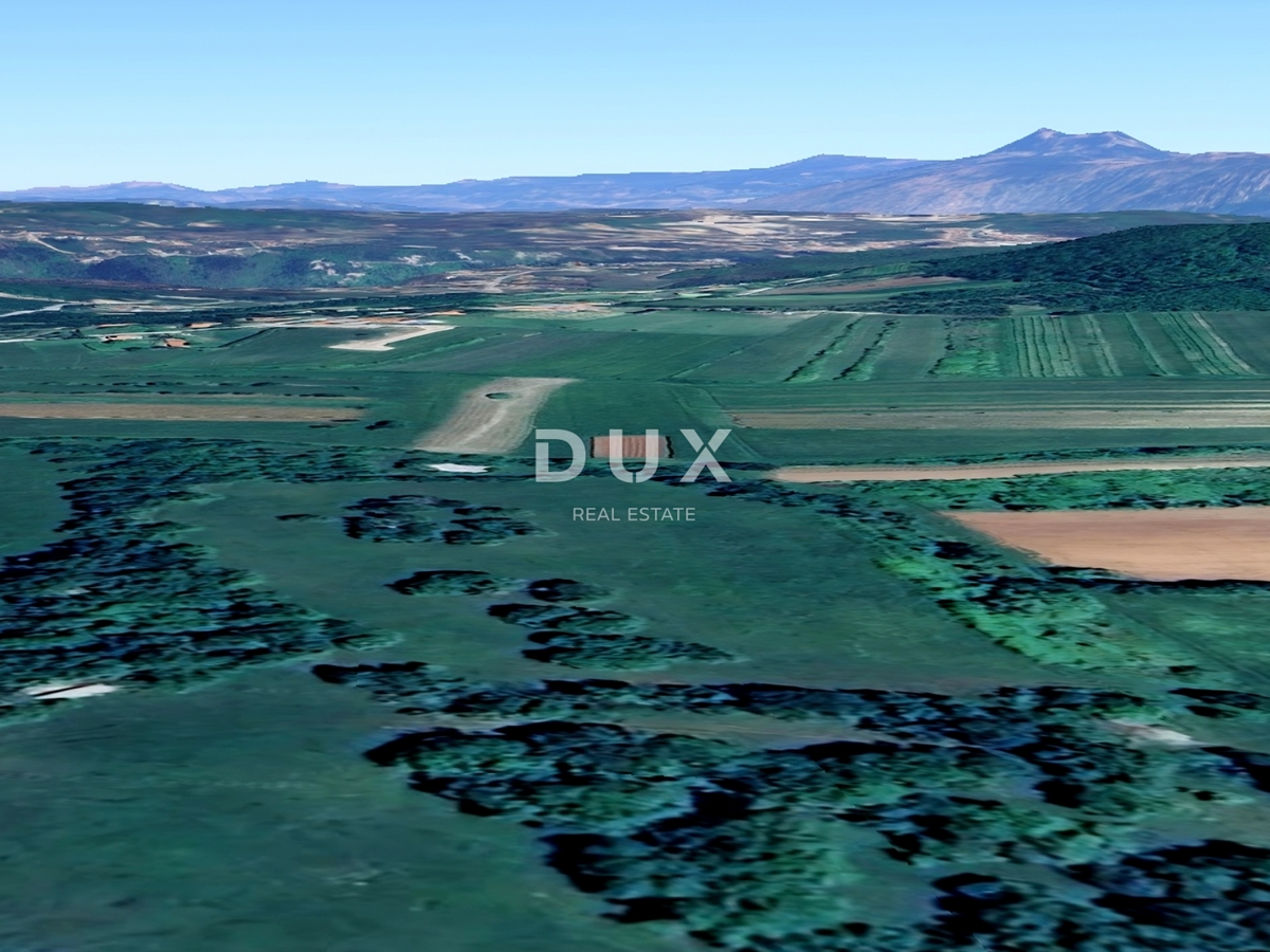 ISTRIA, ALBONA - Terreno agricolo curato