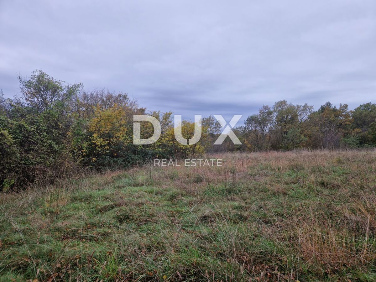 ISTRIA, BARBAN - Complesso di terreni in un tranquillo villaggio