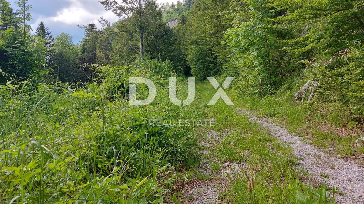 GORSKI KOTAR, FUŽINE - un progetto unico nel cuore del Gorski Kotar, terreno edificabile di 10.700 m2 per un complesso di ville vicino al lago, opportunità di investimento!