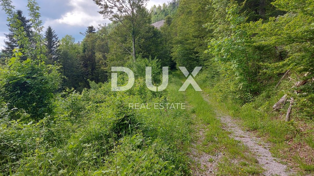 GORSKI KOTAR, FUŽINE - un progetto unico nel cuore del Gorski Kotar, terreno edificabile di 10.700 m2 per un complesso di ville vicino al lago, opportunità di investimento!