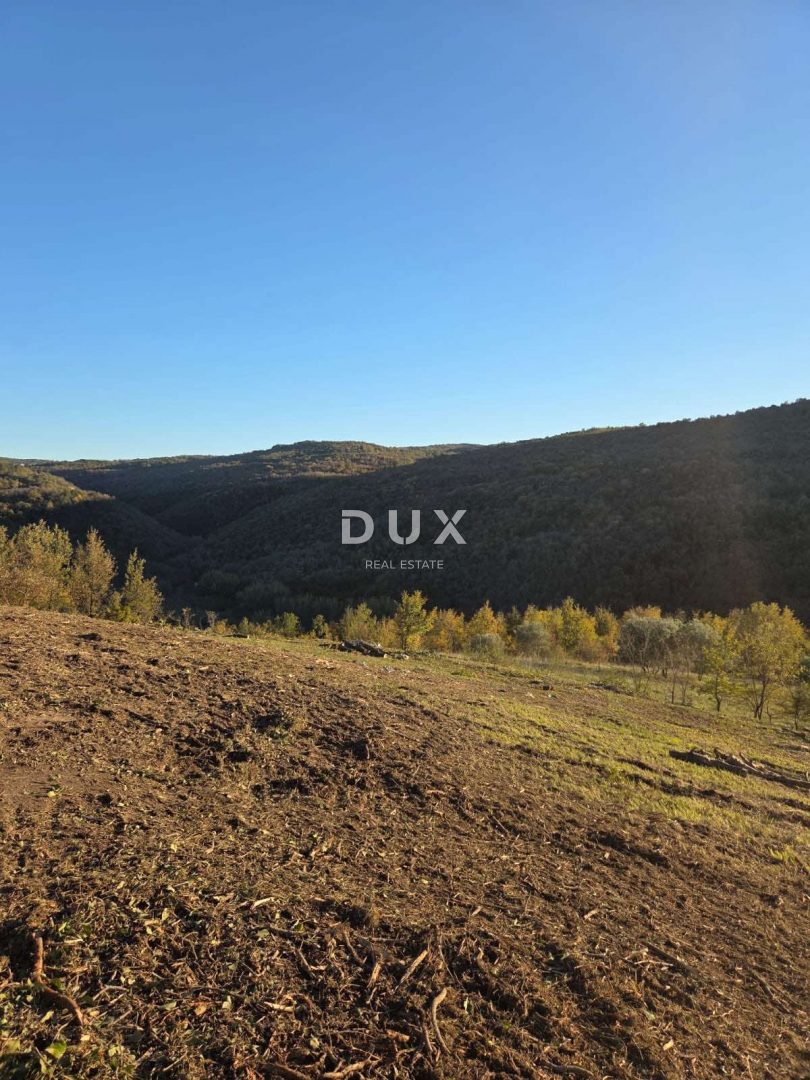 Terreno Motovun, 1.965m2