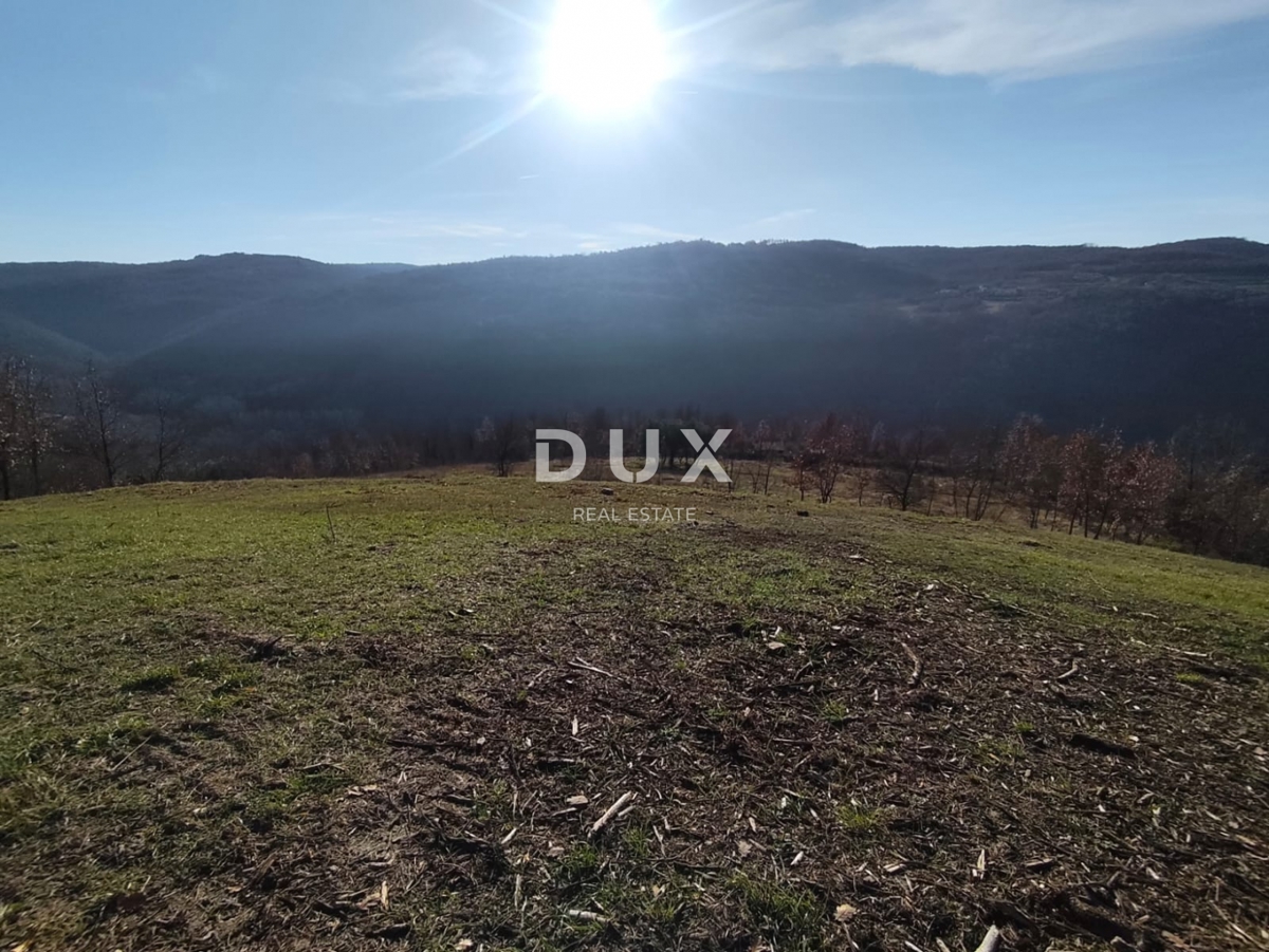 Terreno Motovun, 1.965m2