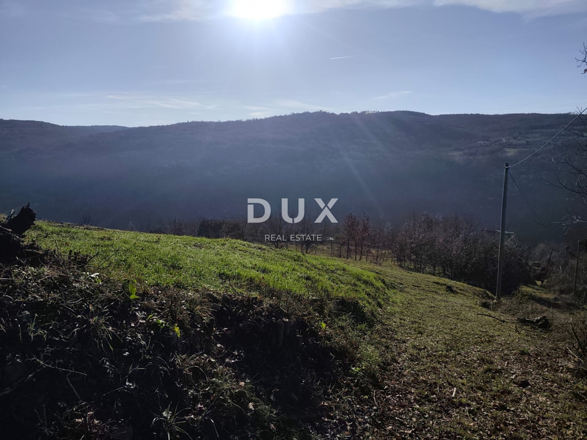 Terreno Motovun, 1.965m2