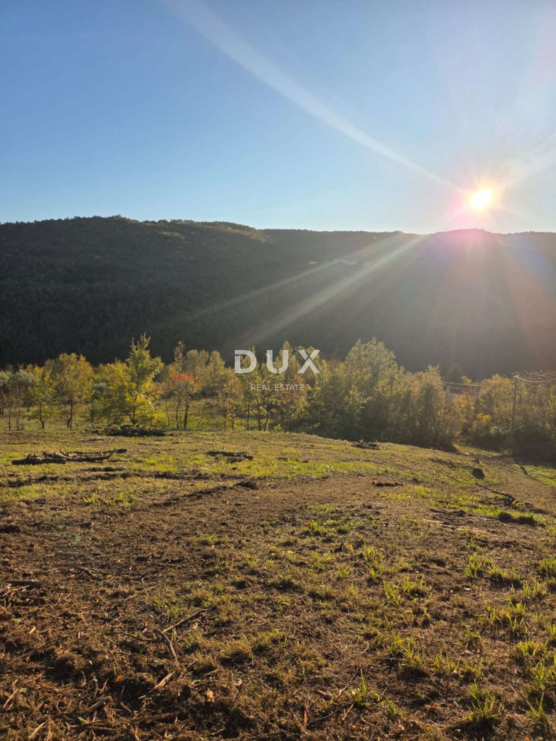 Terreno Motovun, 1.965m2