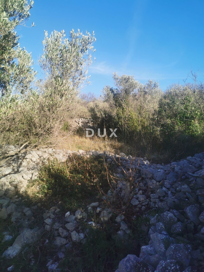 ISOLA DI KRK, PUNAT - Terreno agricolo