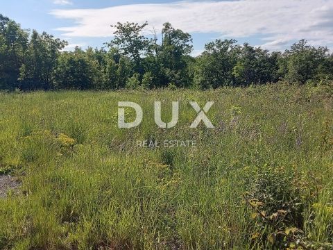 KASTAV - terreno edificabile 810 m2 per una casa unifamiliare/edificio residenziale-appartamenti, SCONTATO!, OCCASIONE ECCEZIONALE!