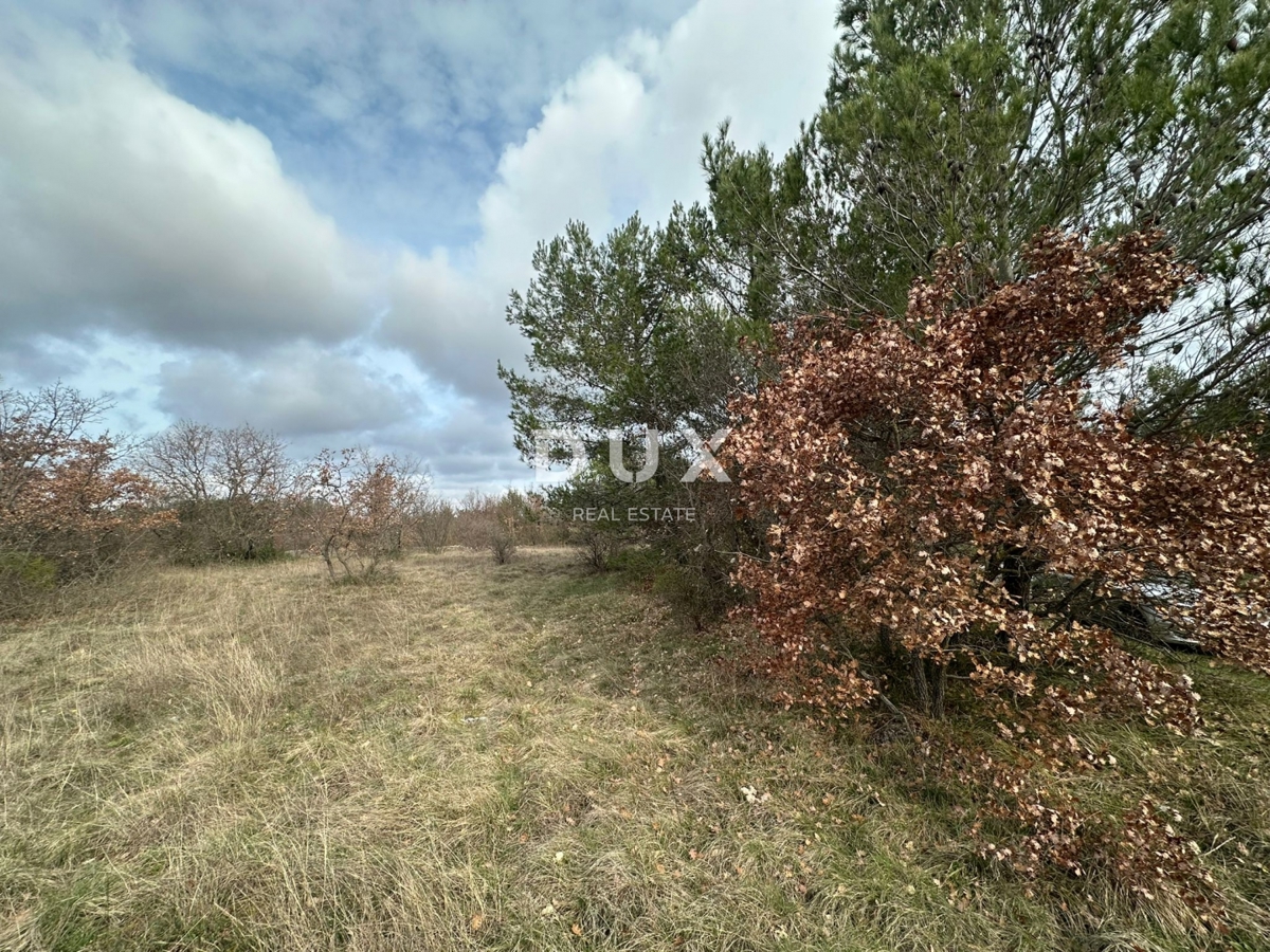 ISTRIA, ŠTOKOVCI - Terreno agricolo 4500m²