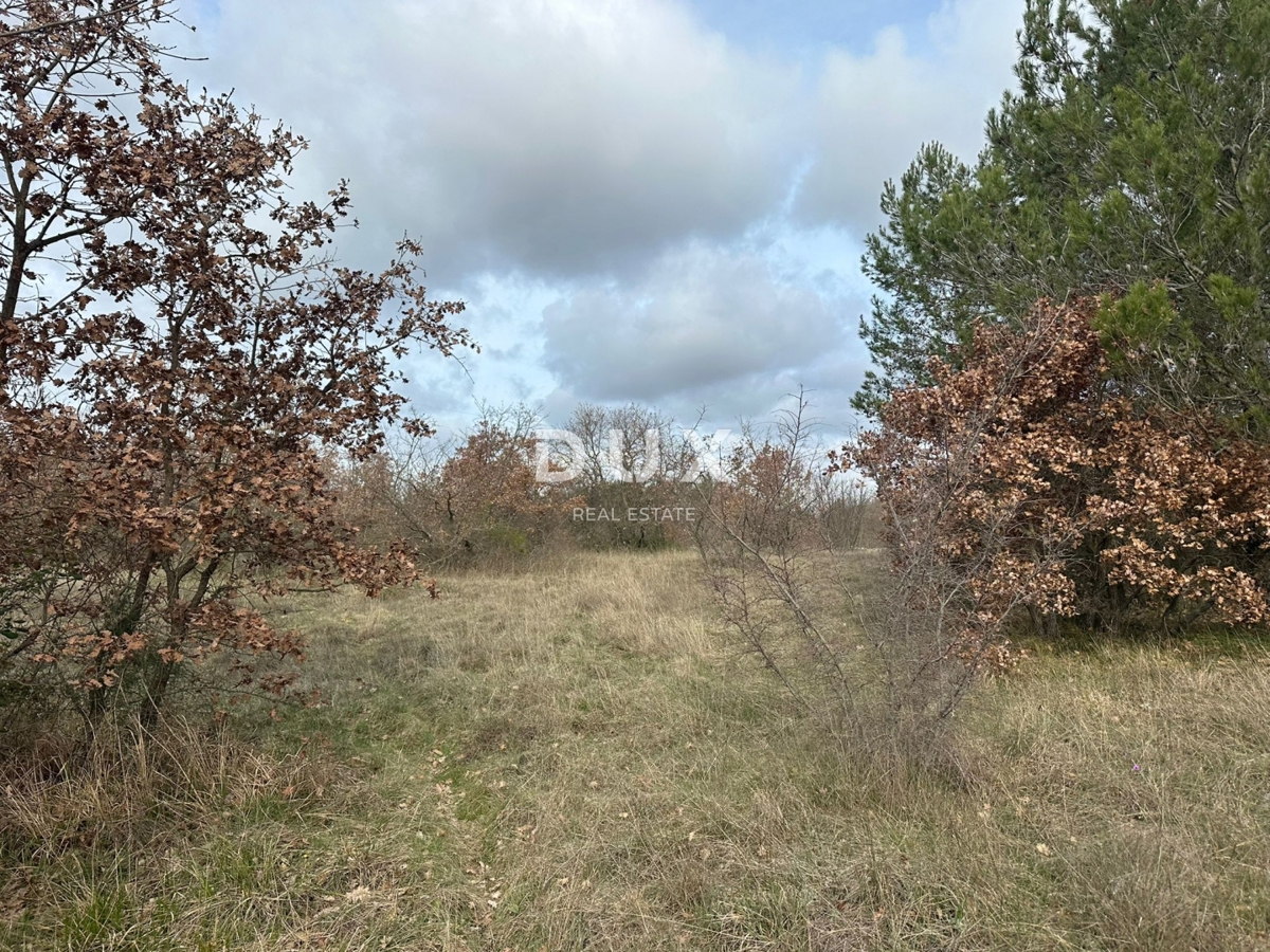 ISTRIA, ŠTOKOVCI - Terreno agricolo 4500m²