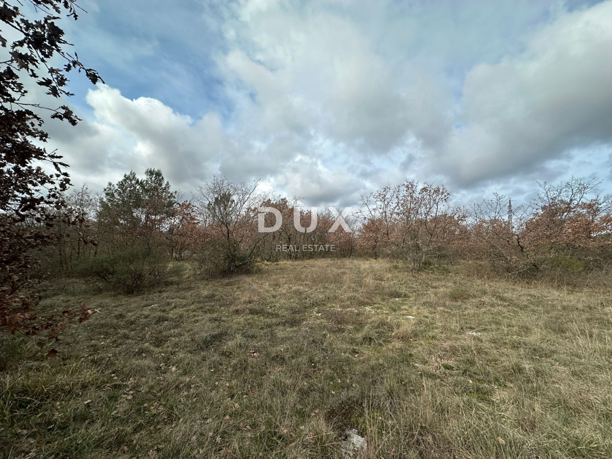 ISTRIA, ŠTOKOVCI - Terreno agricolo 4500m²