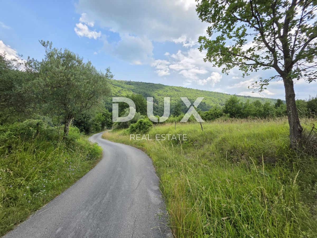 ISTRIA CENTRALE - *OPPORTUNITÀ* Il rifugio perfetto nel cuore dell'Istria: un'autentica bellezza in pietra con una nuova anima.