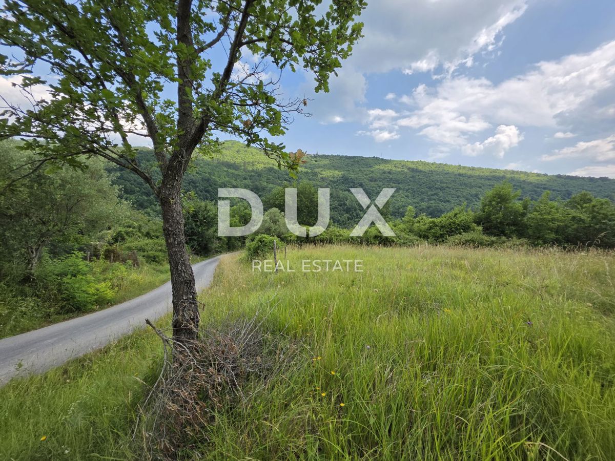 ISTRIA CENTRALE - *OPPORTUNITÀ* Il rifugio perfetto nel cuore dell'Istria: un'autentica bellezza in pietra con una nuova anima.