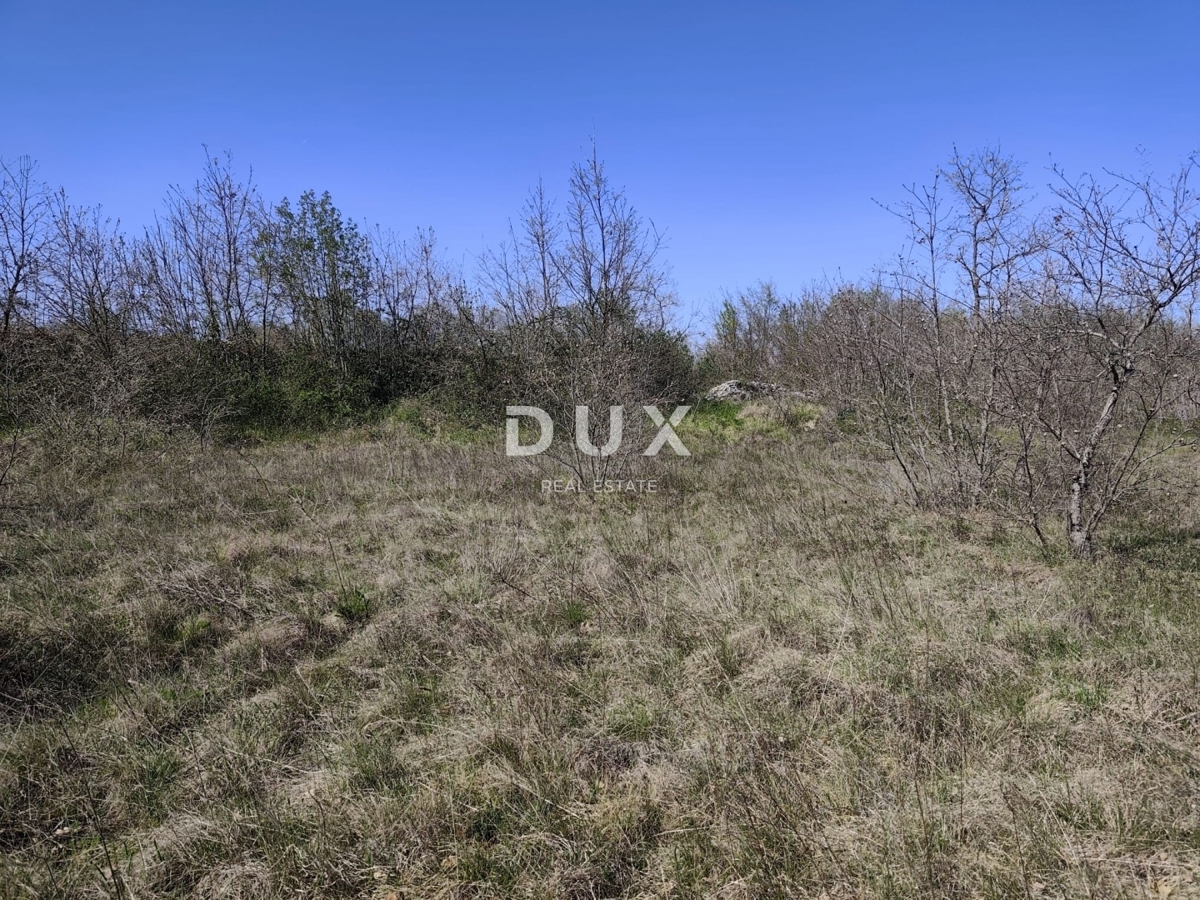 ISTRIA, MARČANA - Progetto di prestigio per una casa a un solo piano con piscina e terreno agricolo