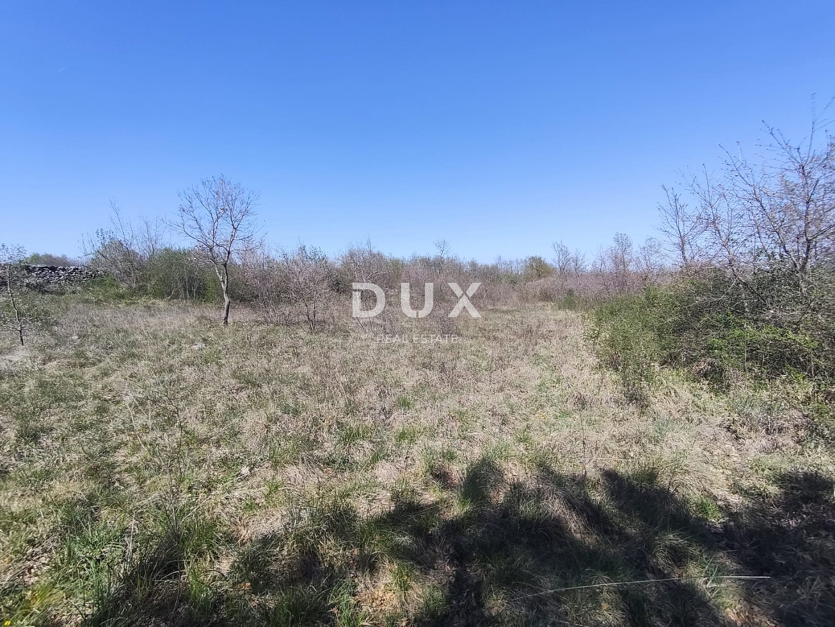 ISTRIA, MARČANA - Progetto di prestigio per una casa a un solo piano con piscina e terreno agricolo