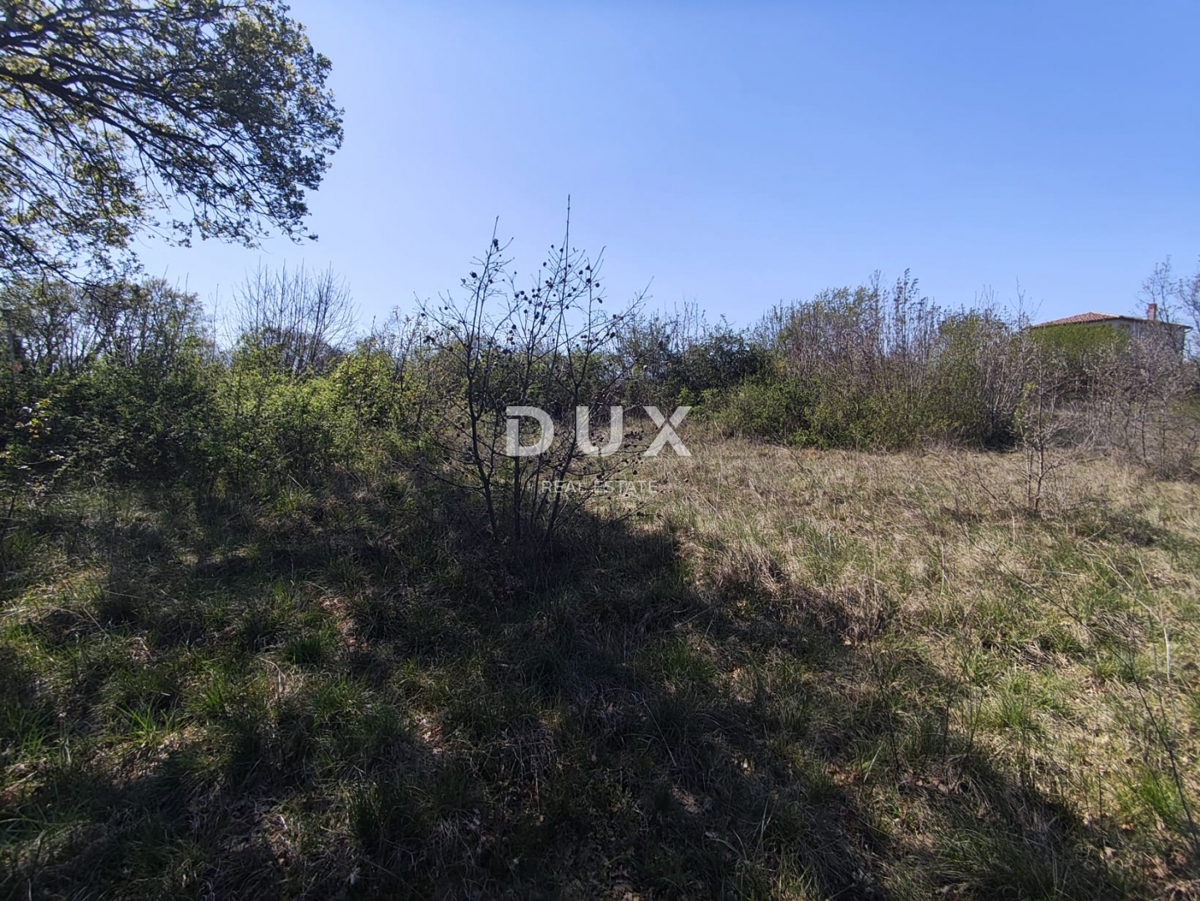 ISTRIA, MARČANA - Progetto di prestigio per una casa a un solo piano con piscina e terreno agricolo