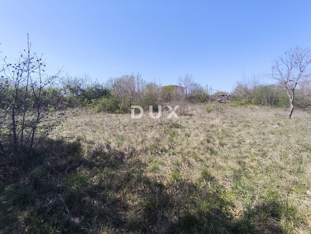 ISTRIA, MARČANA - Progetto di prestigio per una casa a un solo piano con piscina e terreno agricolo