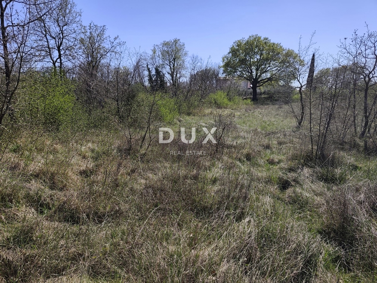 ISTRIA, MARČANA - Progetto di prestigio per una casa a un solo piano con piscina e terreno agricolo