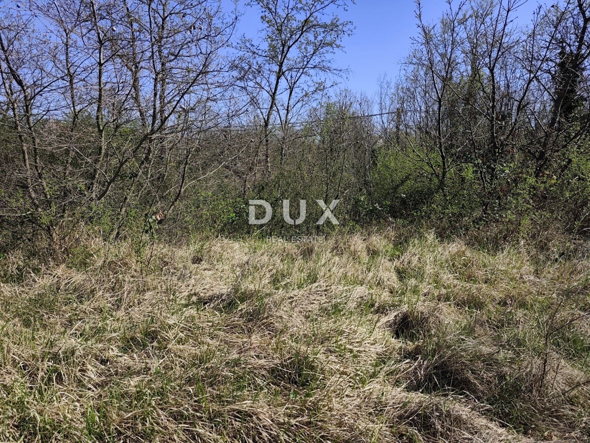 ISTRIA, MARČANA - Progetto di prestigio per una casa a un solo piano con piscina e terreno agricolo