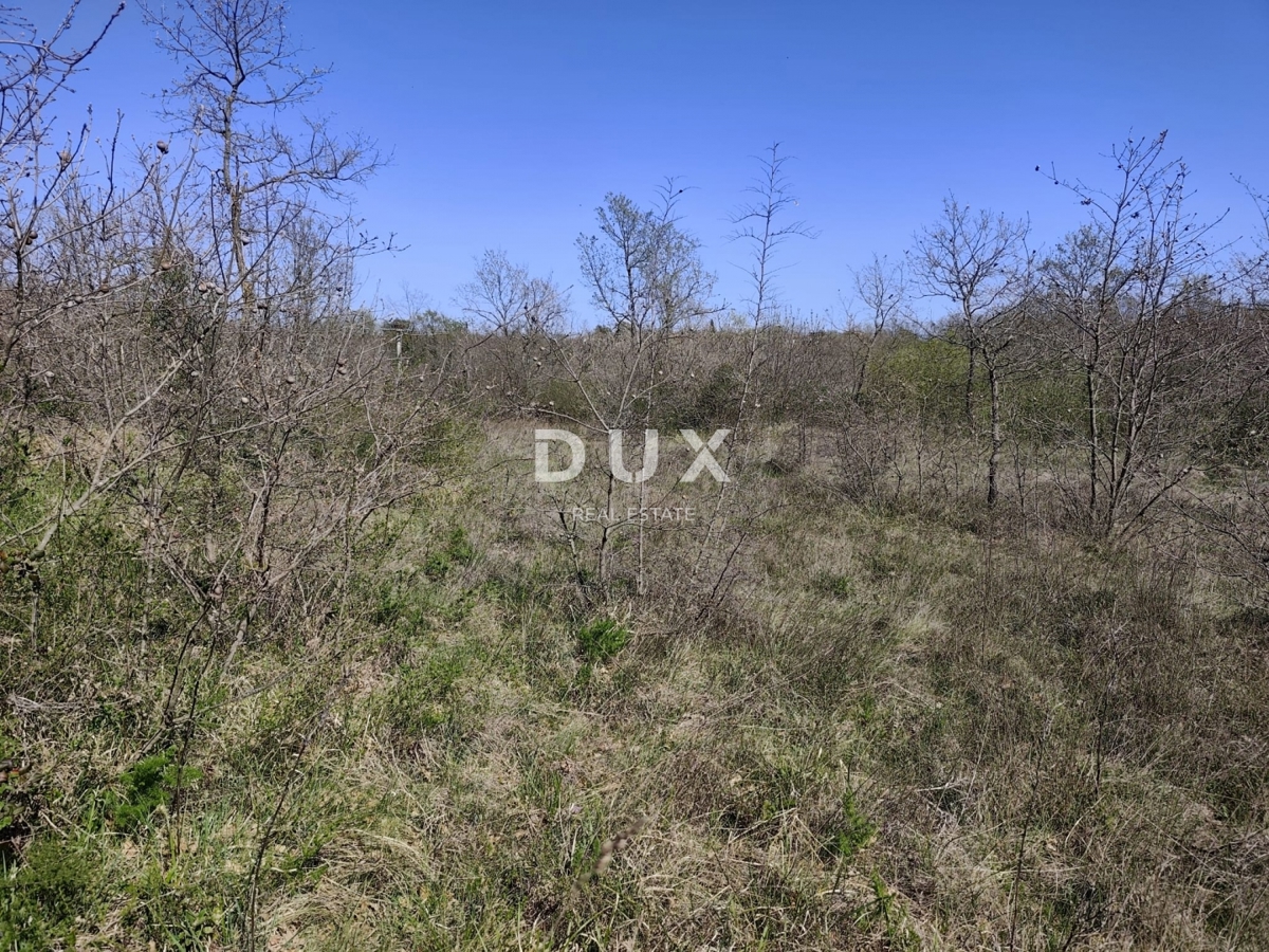 ISTRIA, MARČANA - Progetto di prestigio per una casa a un solo piano con piscina e terreno agricolo