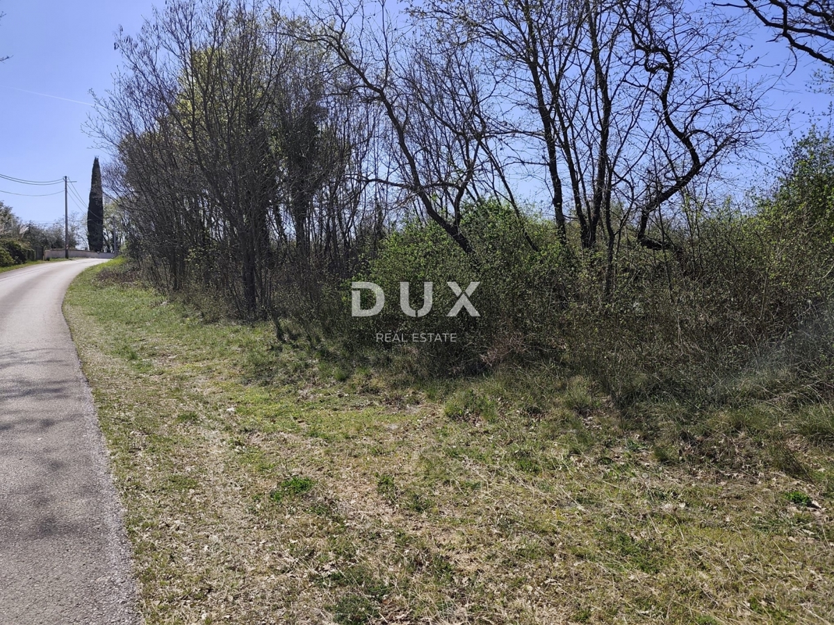 ISTRIA, MARČANA - Progetto di prestigio per una casa a un solo piano con piscina e terreno agricolo