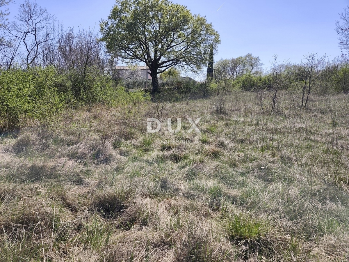 ISTRIA, MARČANA - Progetto di prestigio per una casa a un solo piano con piscina e terreno agricolo