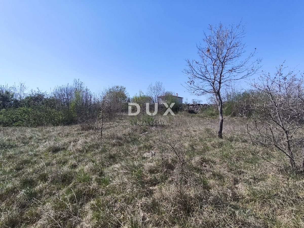 ISTRIA, MARČANA - Progetto di prestigio per una casa a un solo piano con piscina e terreno agricolo