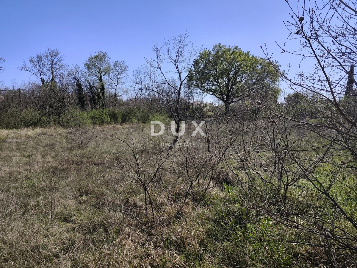 ISTRIA, MARČANA - Progetto di prestigio per una casa a un solo piano con piscina e terreno agricolo