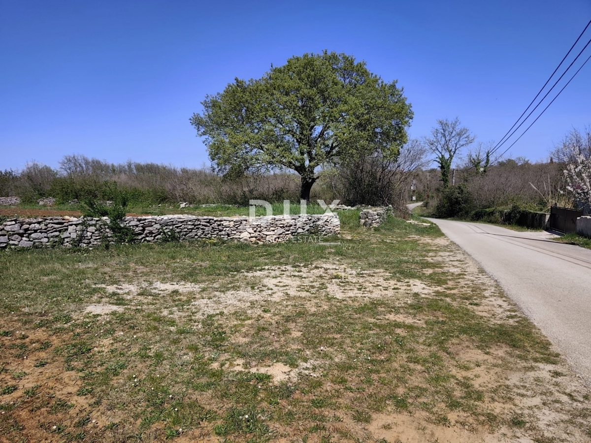 ISTRIA, MARČANA - Progetto di prestigio per una casa a un solo piano con piscina e terreno agricolo