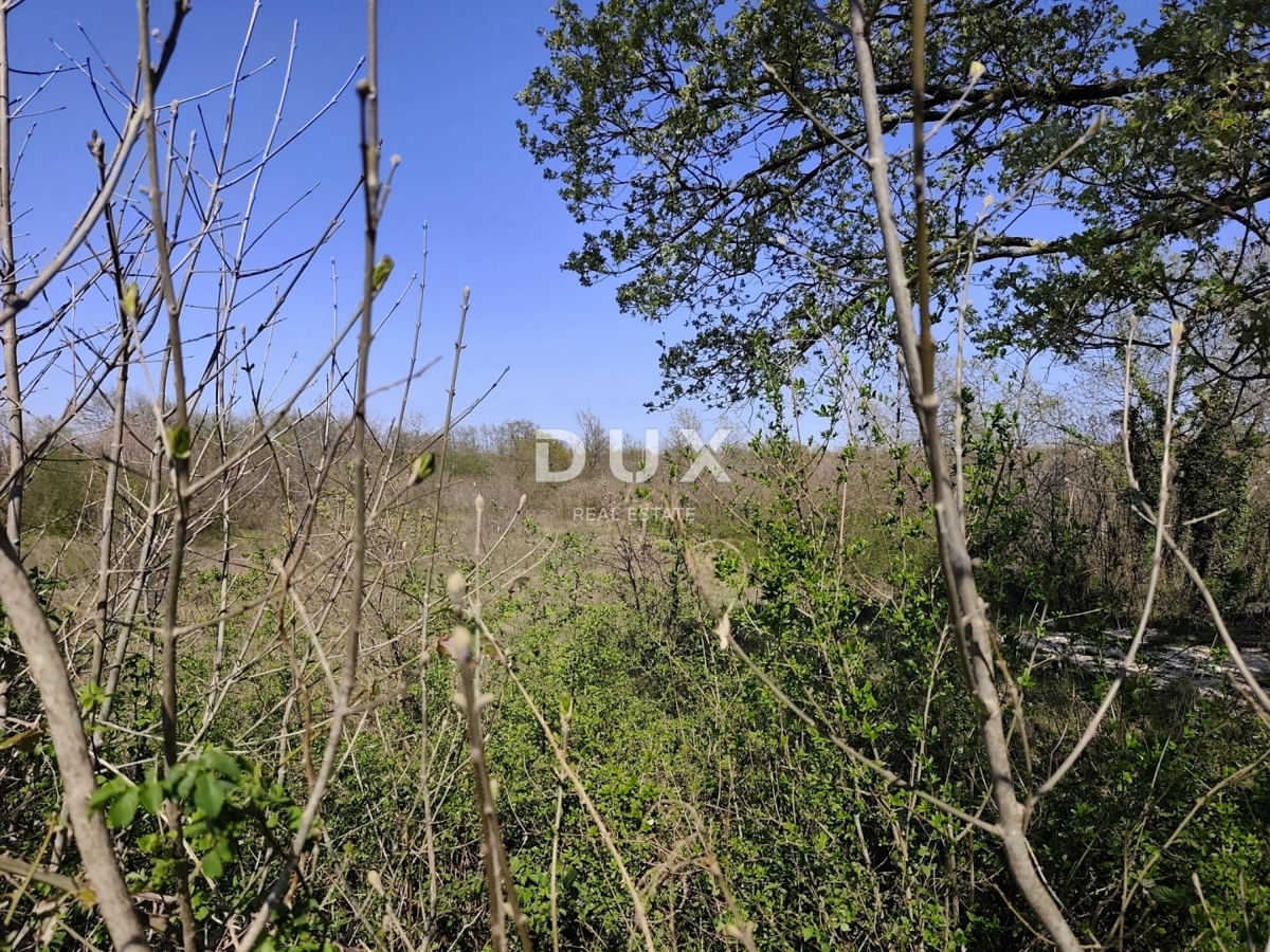 ISTRIA, MARČANA - Progetto di prestigio per una casa a un solo piano con piscina e terreno agricolo