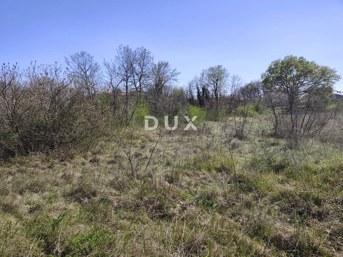 ISTRIA, MARČANA - Progetto di prestigio per una casa a un solo piano con piscina e terreno agricolo