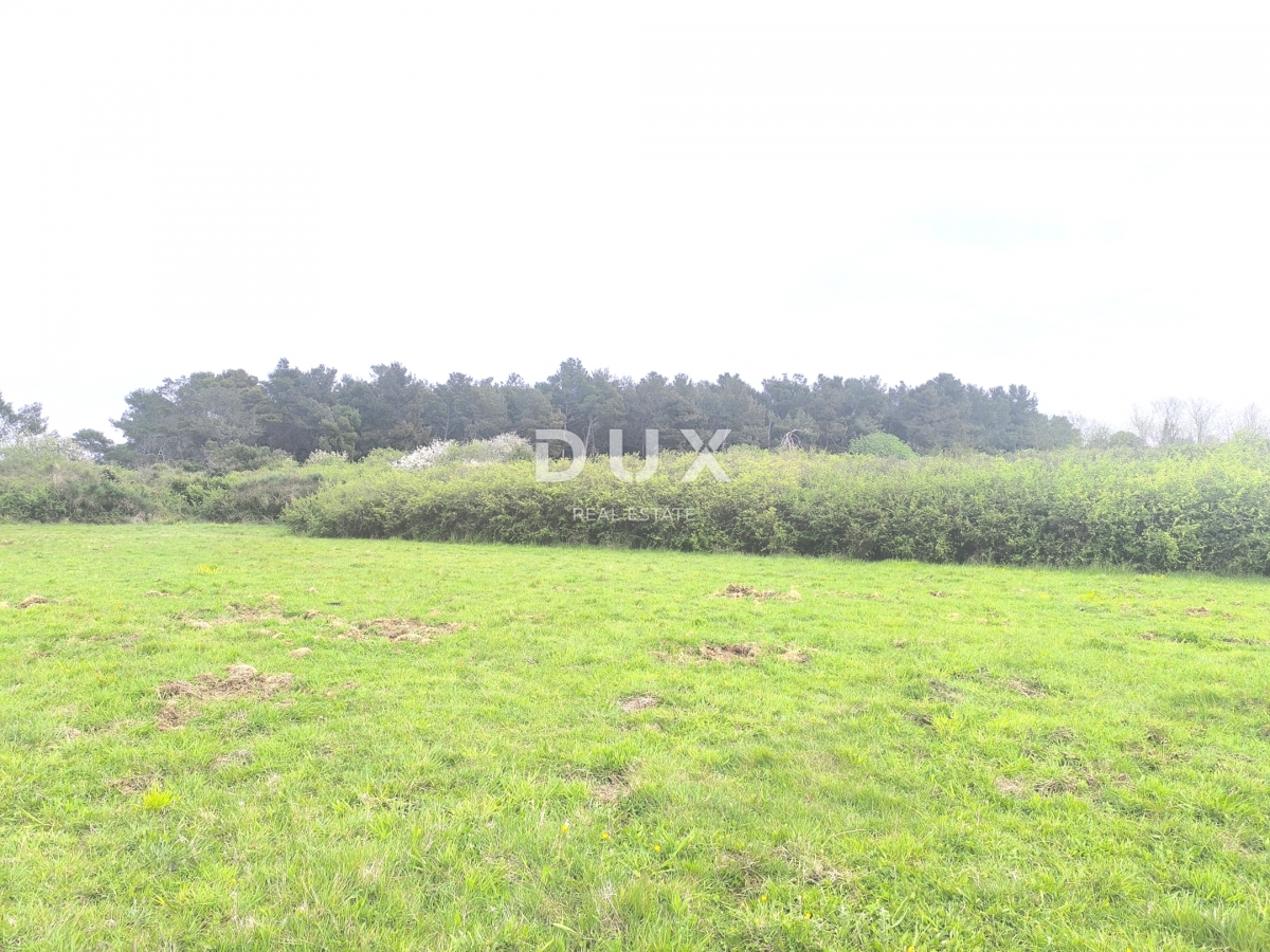 ISTRIA, PREMANTURA - Terreno agricolo, Capo Kamenjak, 150 m dal mare