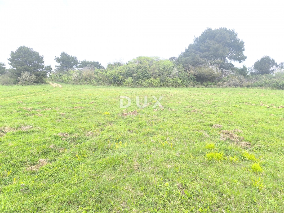 ISTRIA, PREMANTURA - Terreno agricolo, Capo Kamenjak, 150 m dal mare