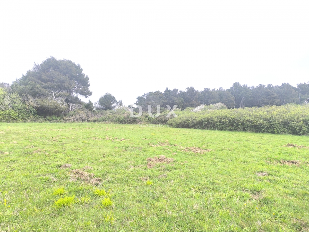 ISTRIA, PREMANTURA - Terreno agricolo, Capo Kamenjak, 150 m dal mare