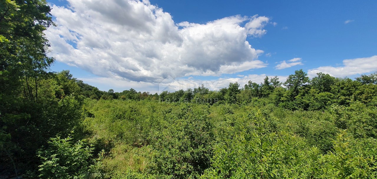 Terreno Juršići, Svetvinčenat, 20.132m2