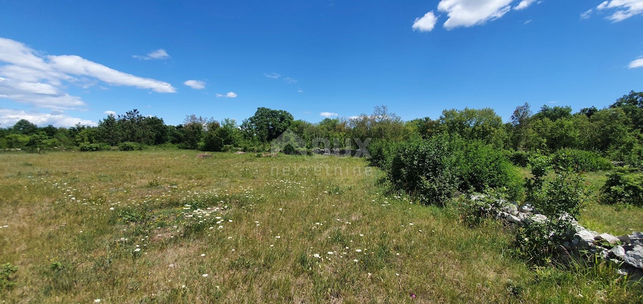 Terreno Juršići, Svetvinčenat, 20.132m2